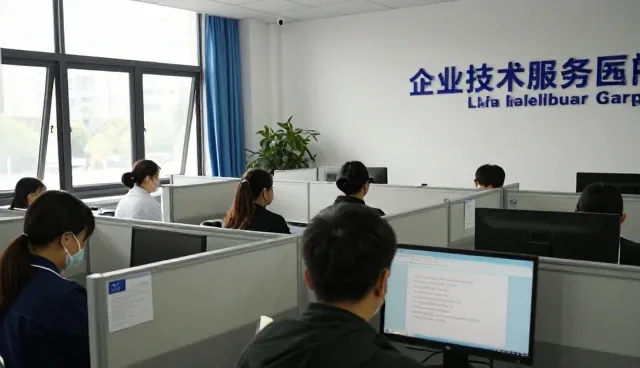 方向的定制服务如何兼顾性能与适用条件